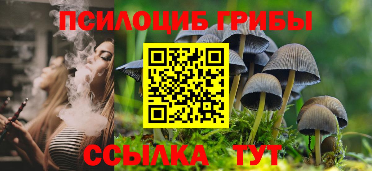 Галлюциногенные грибы мицелий  Вход с VPN  где найти   Кирово-Чепецк 